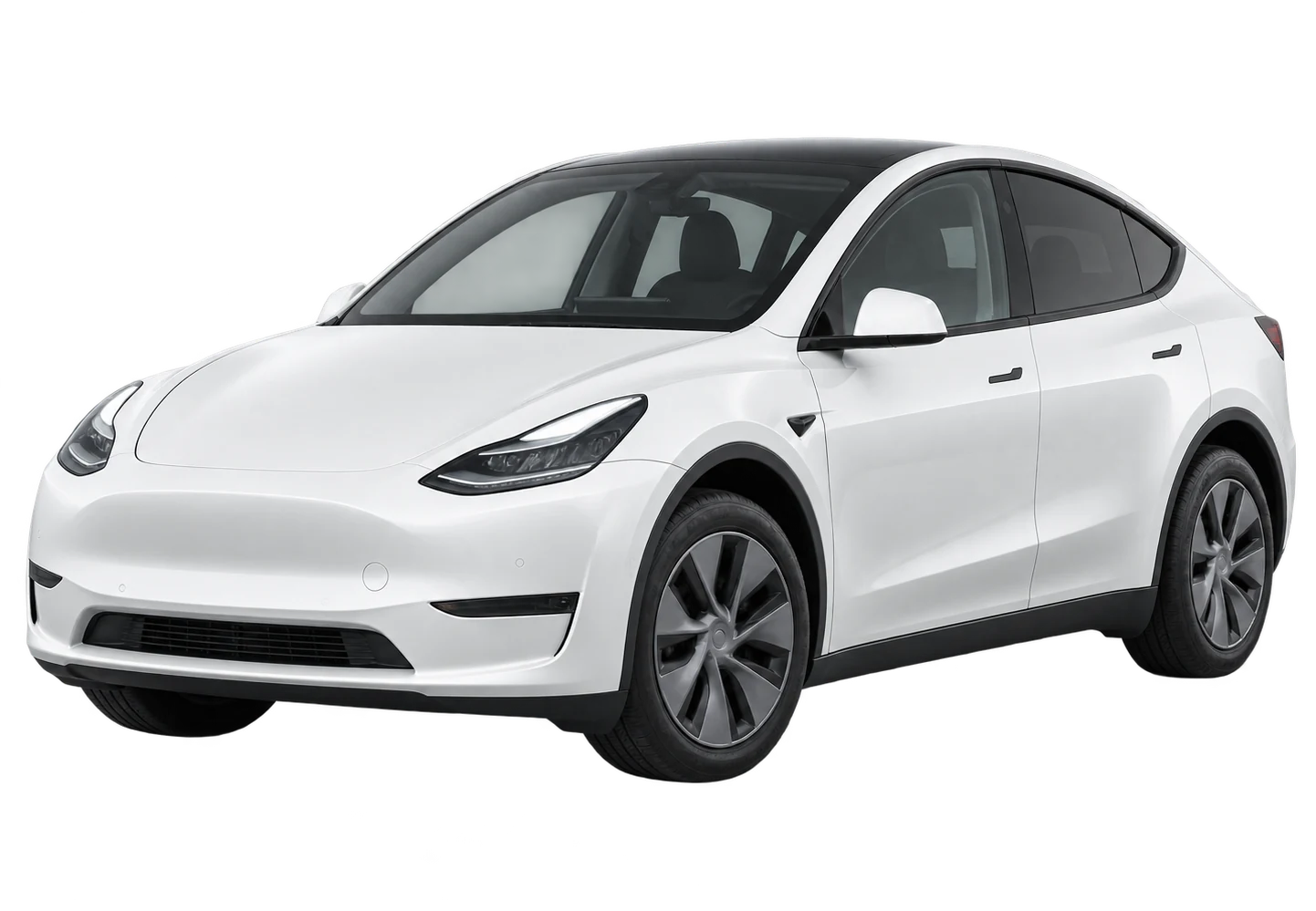 Model Y Basic
